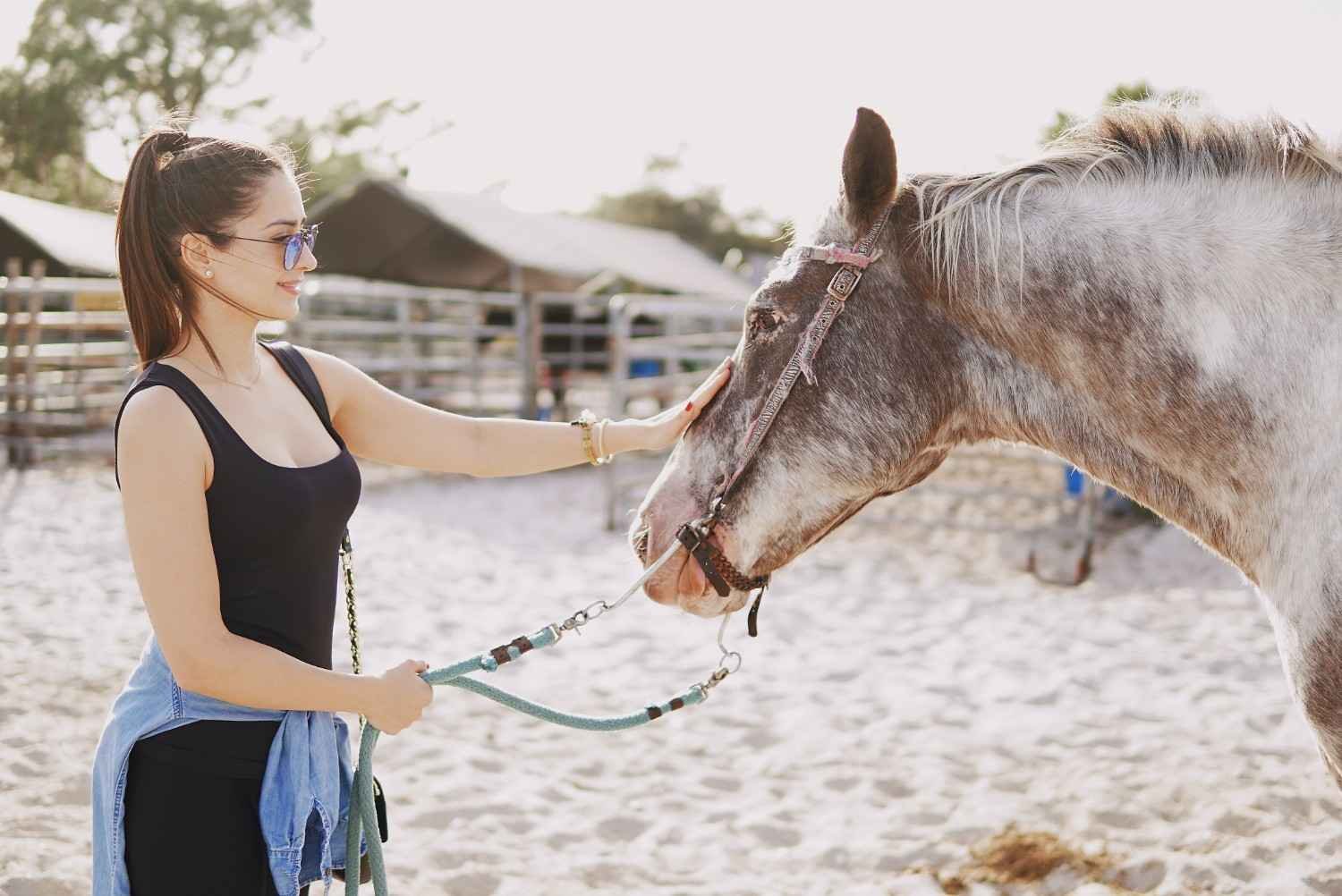 Go Horseback Riding on the Beach or to the Adventure Park