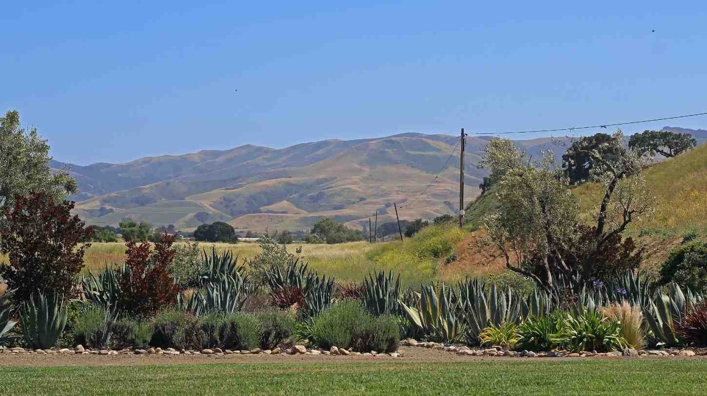 Visit Wineries and the Countryside