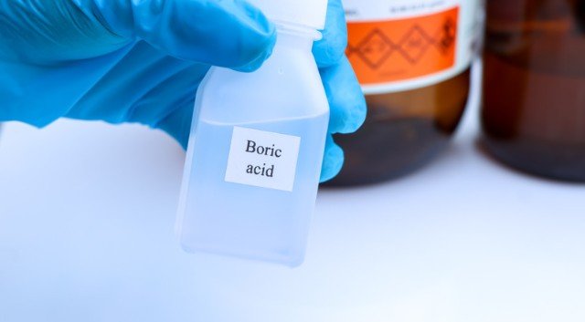 Can DIY Options Help When You’re Figuring Out How to Get Rid of Termites?