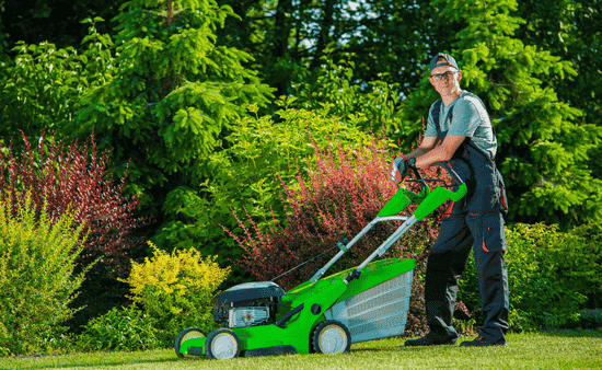 7 Essential Tasks for Year-Round Yard Care
