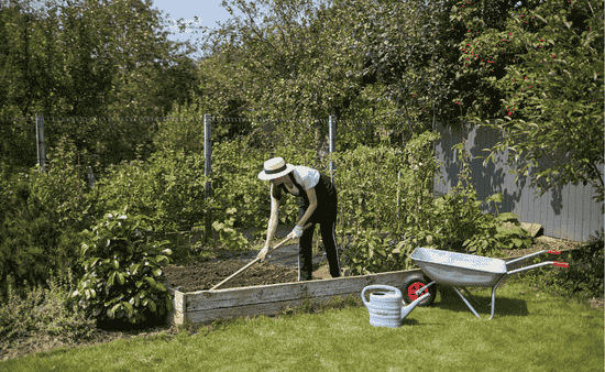 Spring Preparing the Ground for Growth