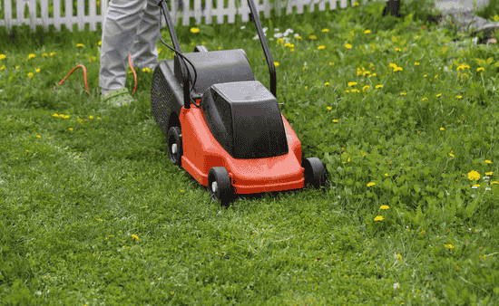 Summer Maintenance and Hydration