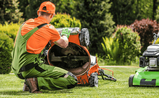 Winter Protecting Your Landscape