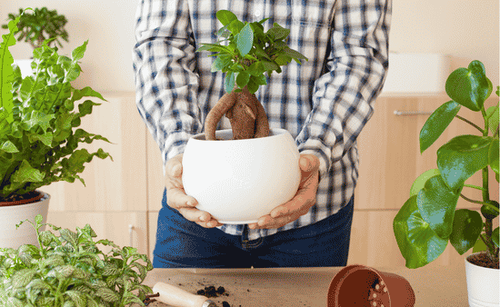 Cost Savings for Large Landscaping Projects
