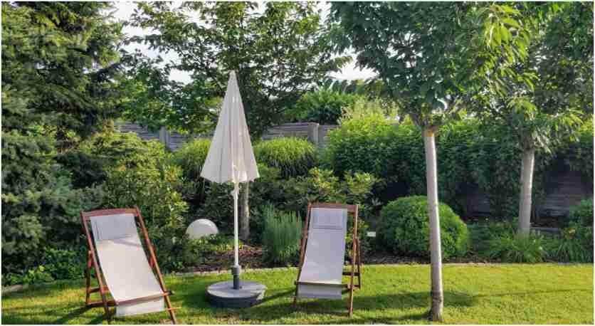 8 Ways to Build a Greener Outdoor Space