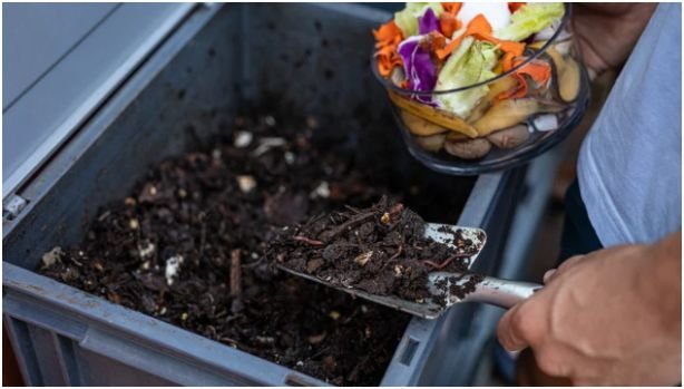 Start a Composting System