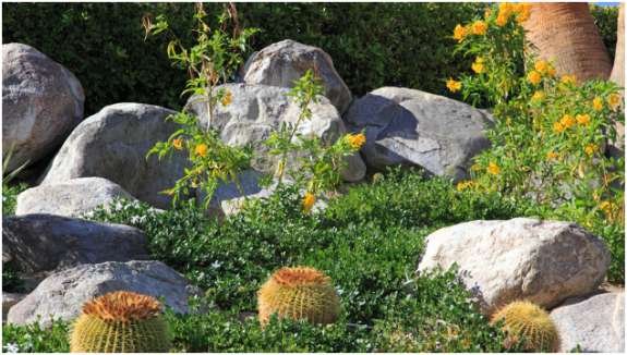 Reduce Traditional Lawn Areas
